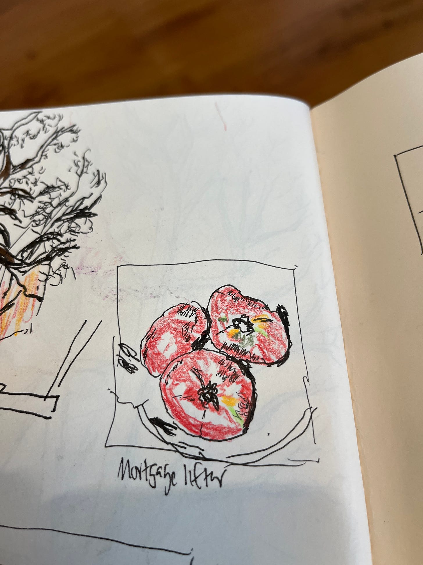 Small black ink and crayon drawing of three tomatoes