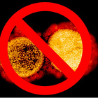 Έχει Απομονωθεί ο "ιός"; Όχι.