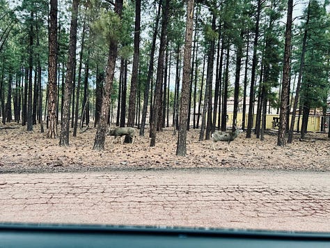 trail. wolves, reindeer, bison, bears