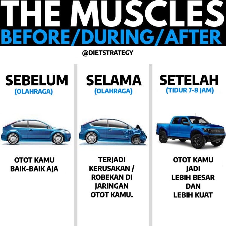 cara meningkatkan massa otot