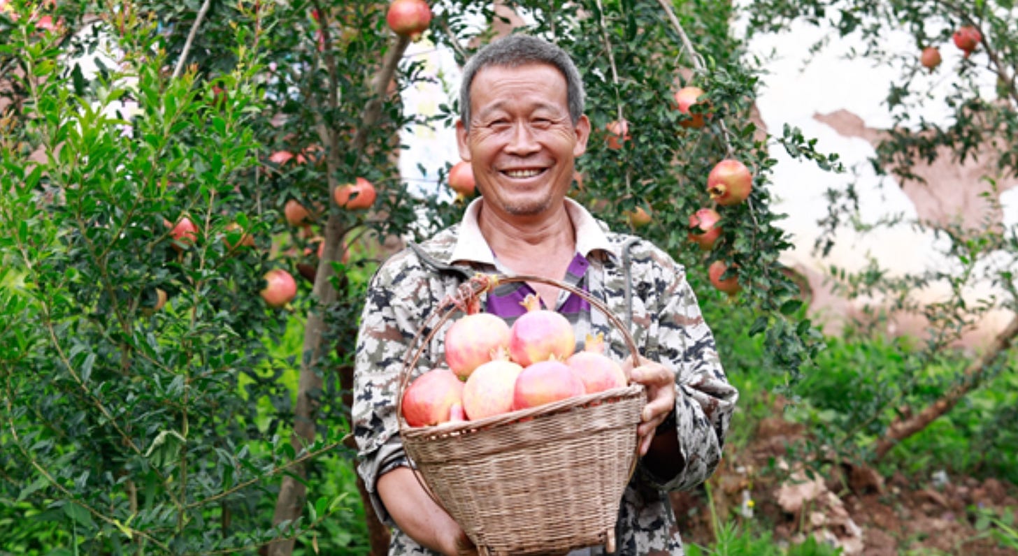 Pinduoduo&#39;s latest aim: Sell $145 billion of farm produce in 2025 |  TechCrunch