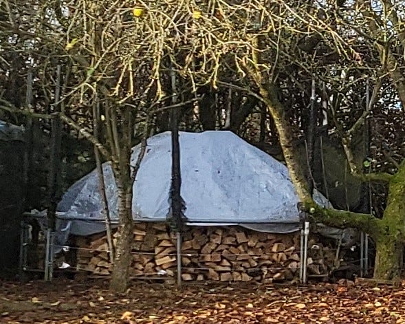 Split logs stored within the frame of a large trampoline, its spring removed, with a large plastic cover protecting the 'roof' of the 'igloo'.  The logs at the circular outside are visible, allowing air to dry the logs