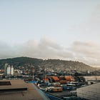 a diary of delights: volume 004.