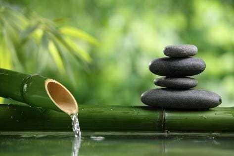 Zen and Zazen | Vinaire's Blog