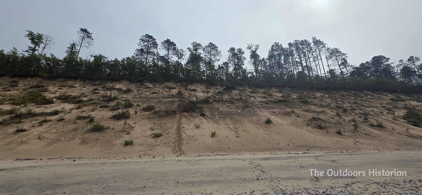 A view of a dune from a beach. The dune is about 100-feet tall with trees along the edge and the occasional tree on the bluff.