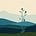 Liz Cohen's avatar