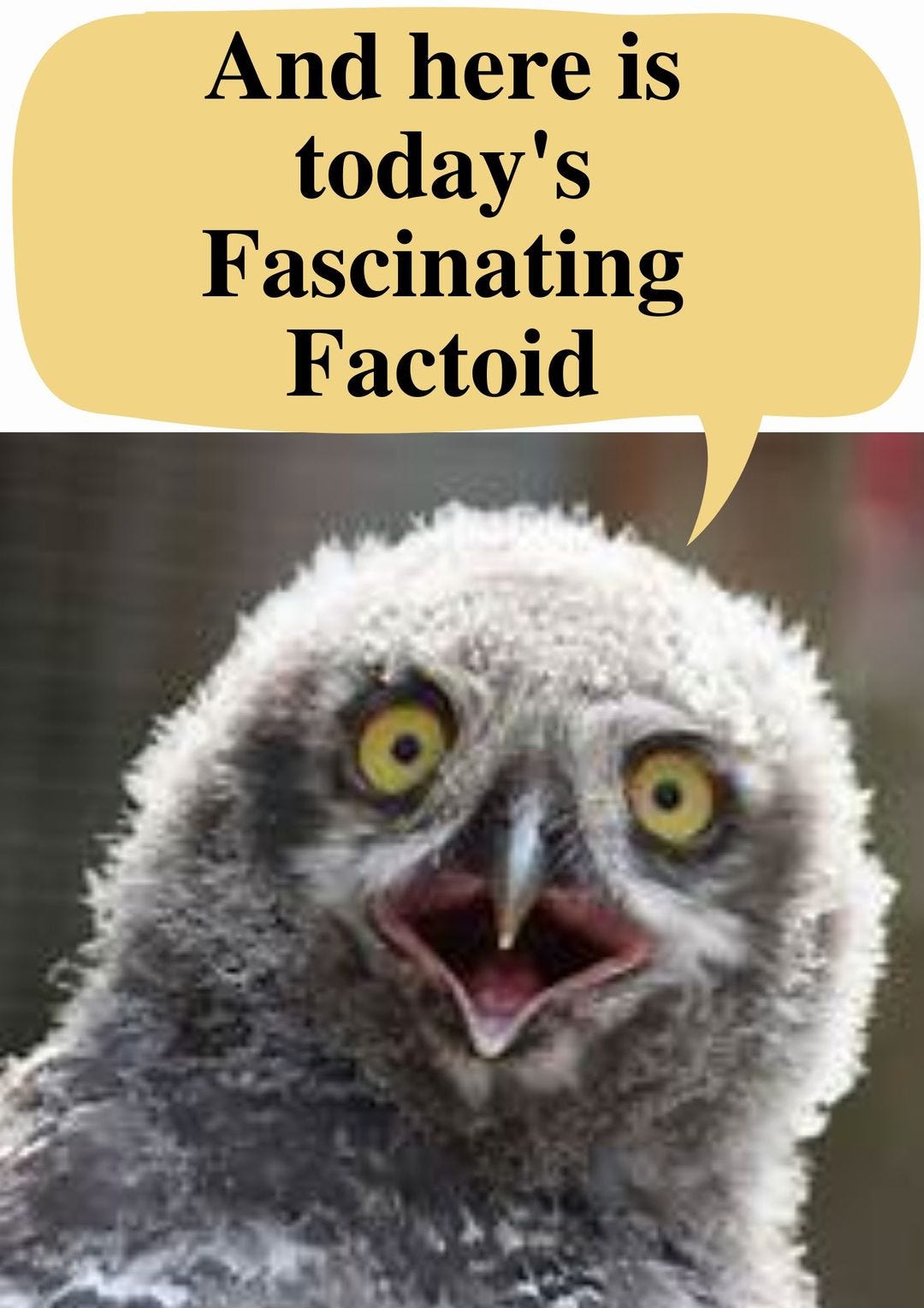 May be an image of text that says "And here is today's Fascinating Factoid"