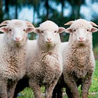 Study Shows Low Testosterone Levels Cause Men To Become Complicit And Raises 'Conformity And Deceptive Reputation Strategies,' Making Them Easier To Control