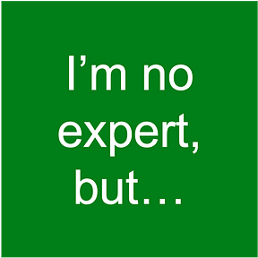 The Network Expert