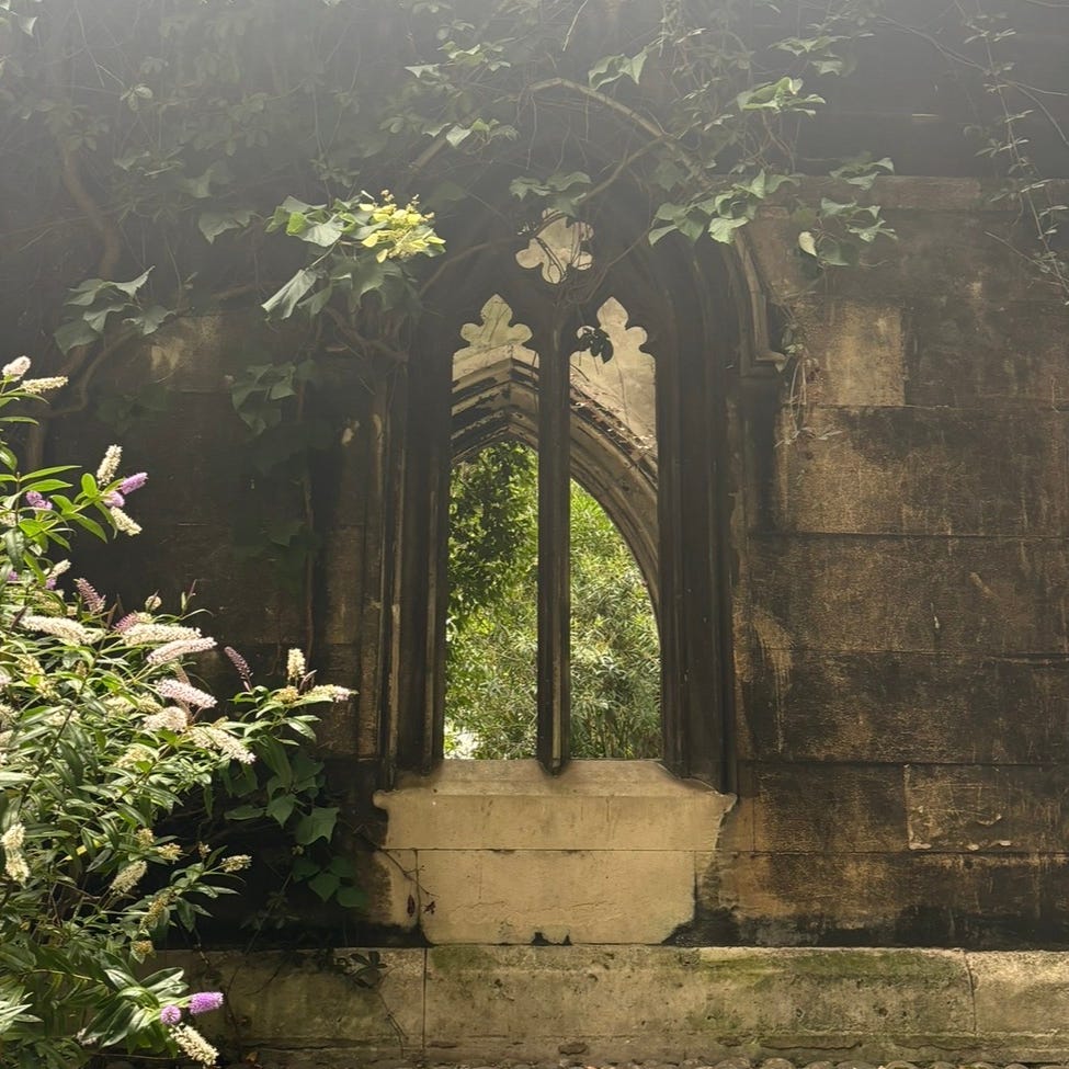 Regolith’s Substack