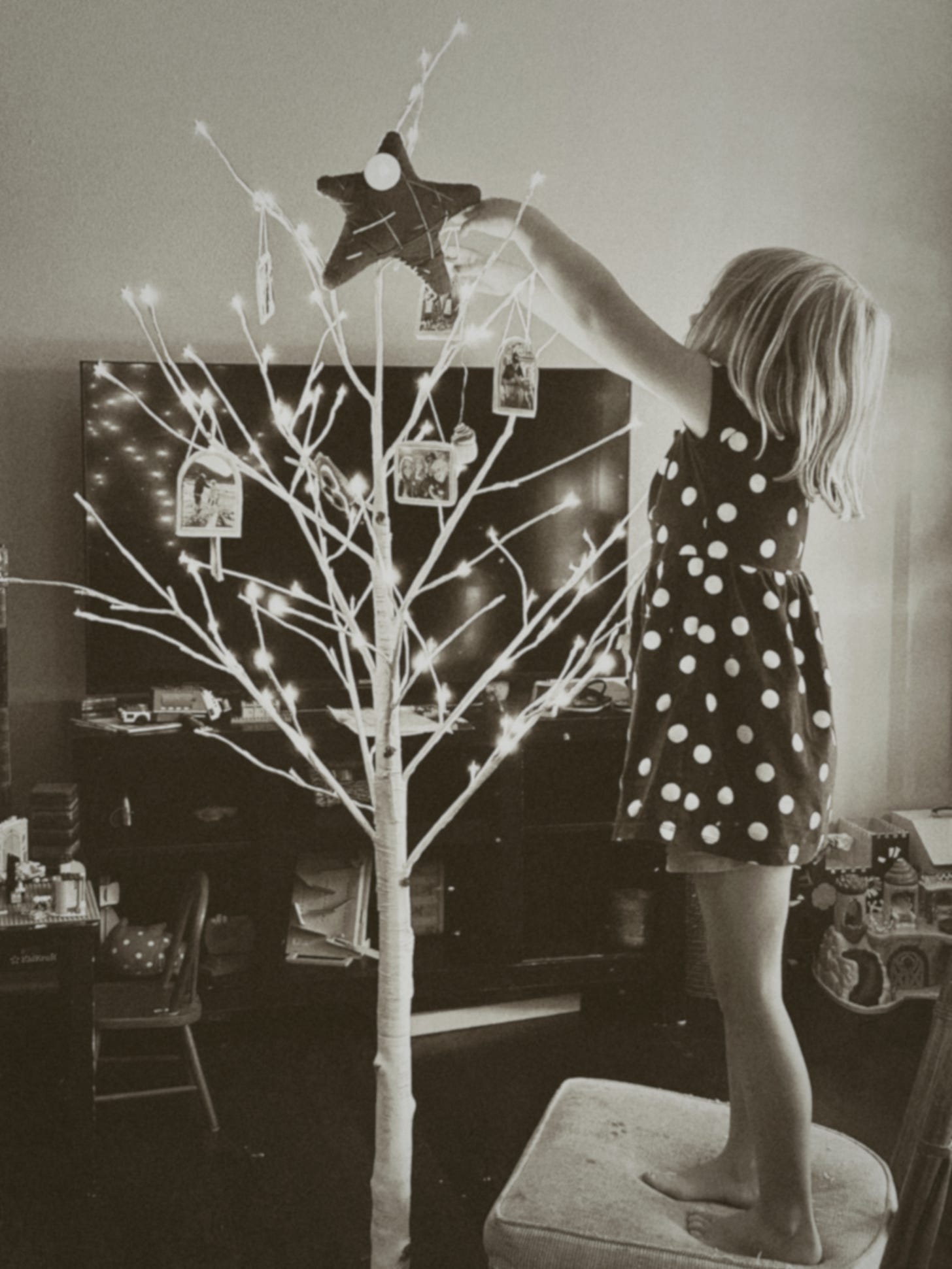 a birthday tree a birthday tree