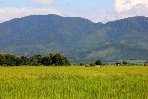 LAOS: Muang Sing LAOS: Muang Sing