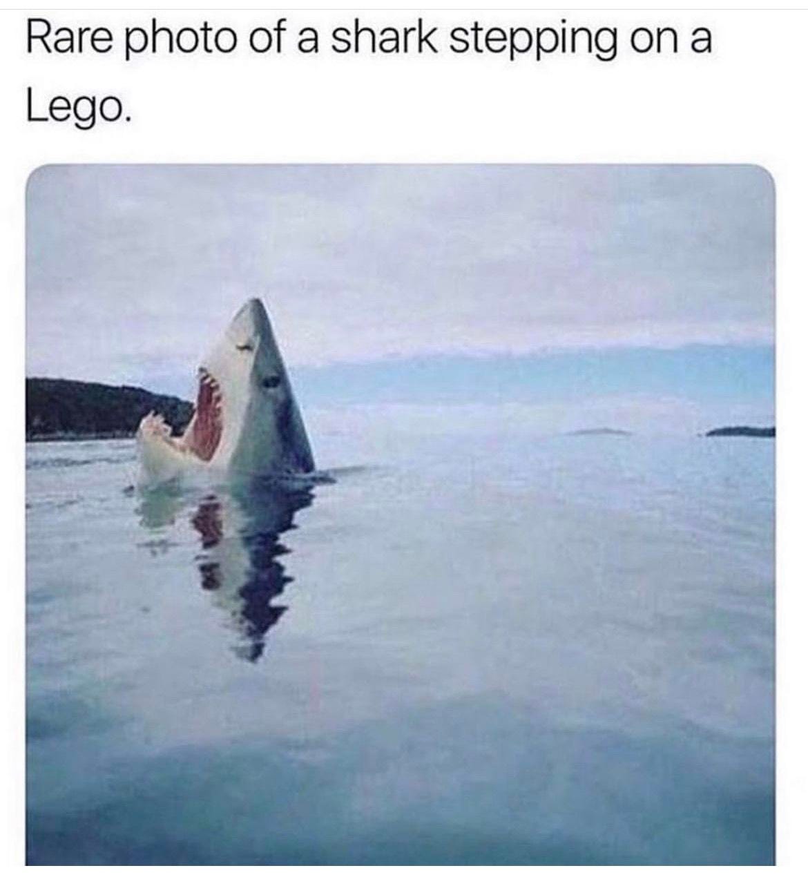 Image item Image item