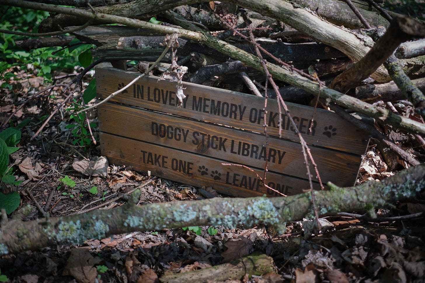 The doggy stick library. What a lovely idea.
