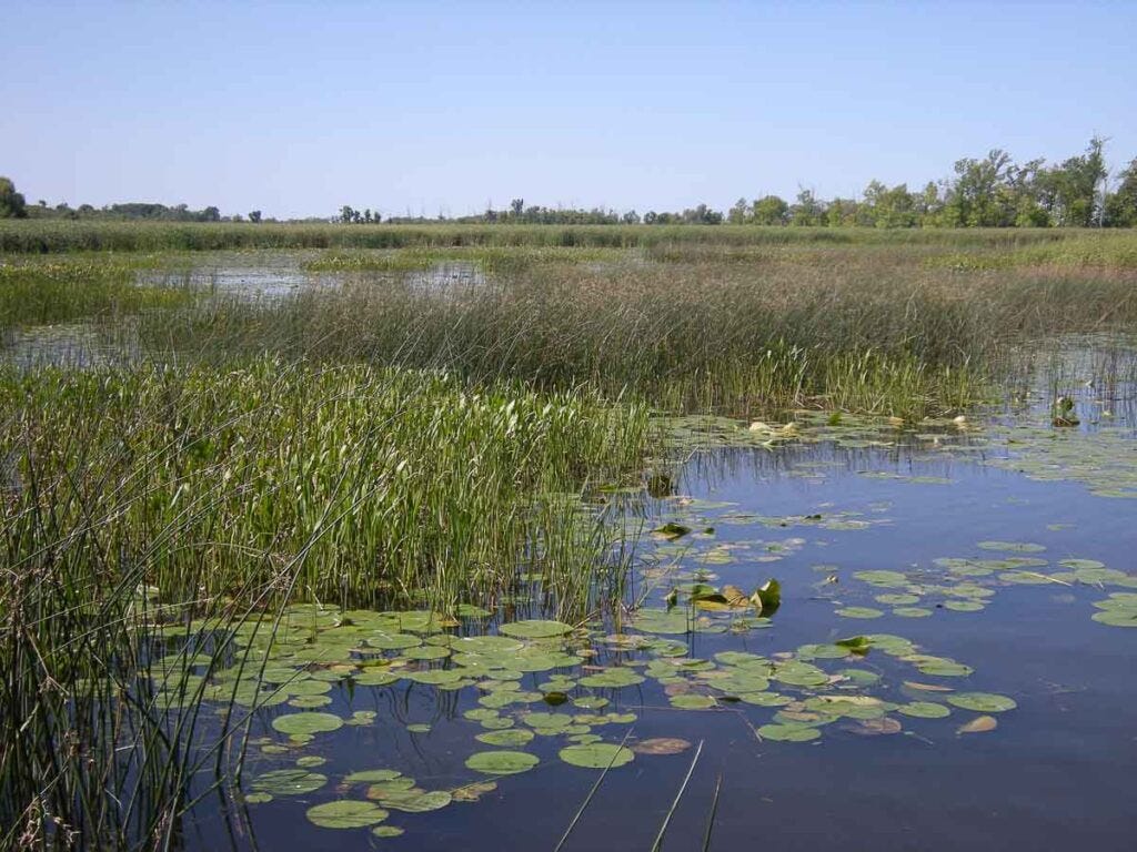 Lake Winneconne - Clark's Bay