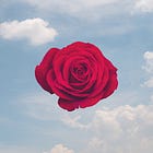 Navigating Love: Overcoming Codependency & Toxic Relationship Bonds