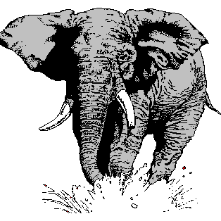 The Bexar Conservative Substack