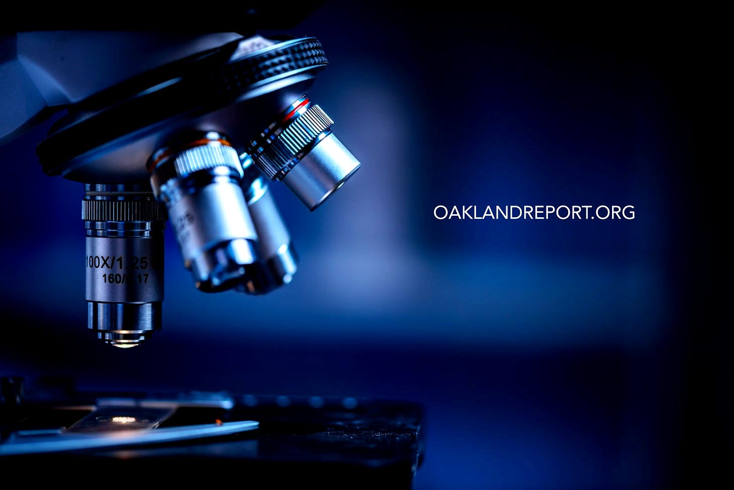 Microscope examining a slide for scientific analysis. (Image source: Oakland Report / Adobe Stock) Microscope examining a slide for scientific analysis. (Image source: Oakland Report / Adobe Stock)