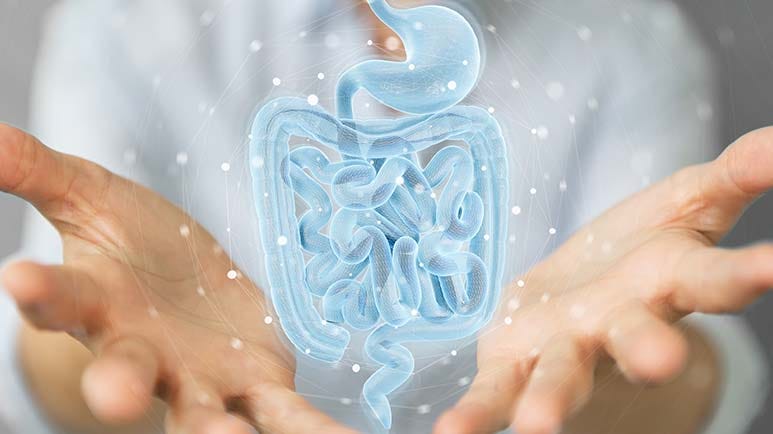fix gut health