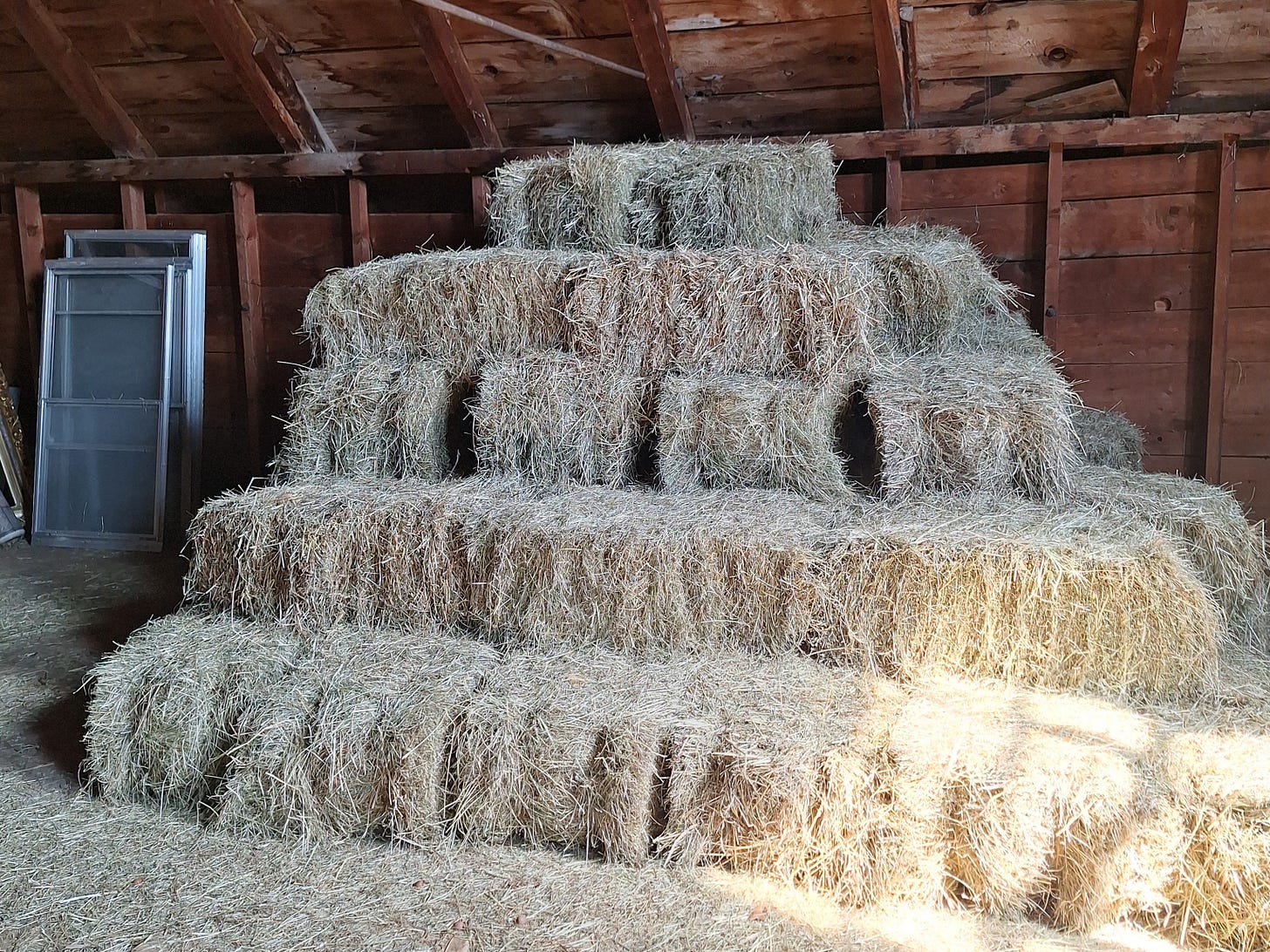 Bales of hay stored in the barn at Runamuk Acres, remaining after the sheep were sold.