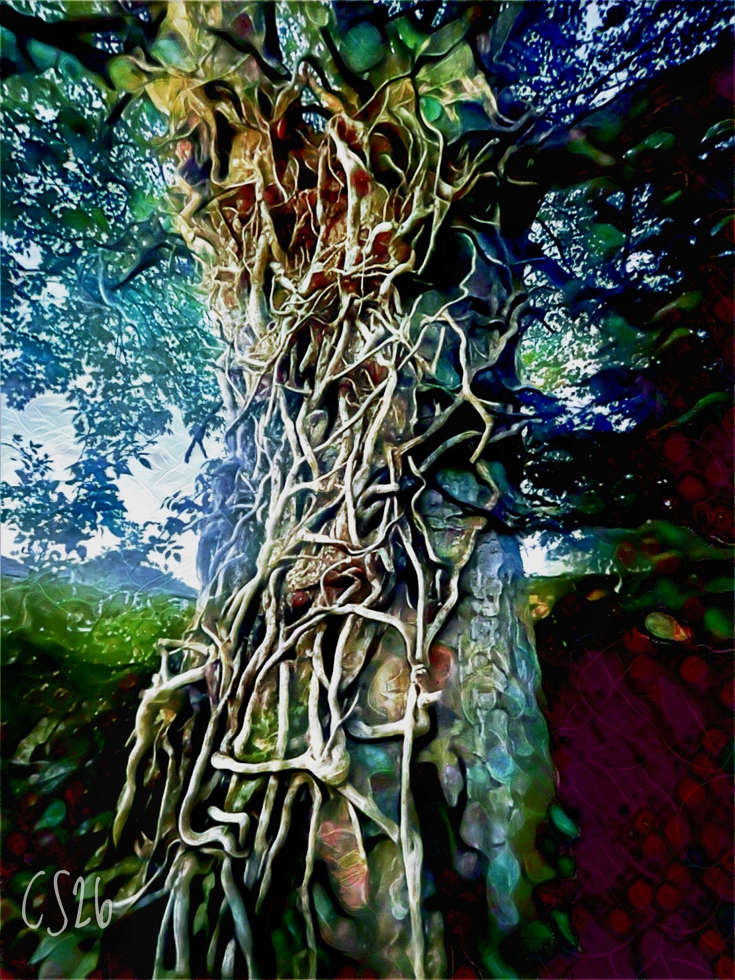 The Sycamore