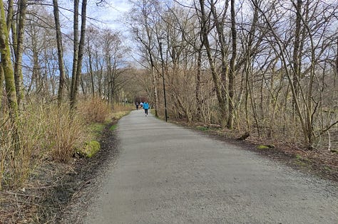 Views of a wide gravelled path, bordered by thin trees, and one of the lake