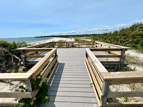 green, sky, ocean, beach, garden