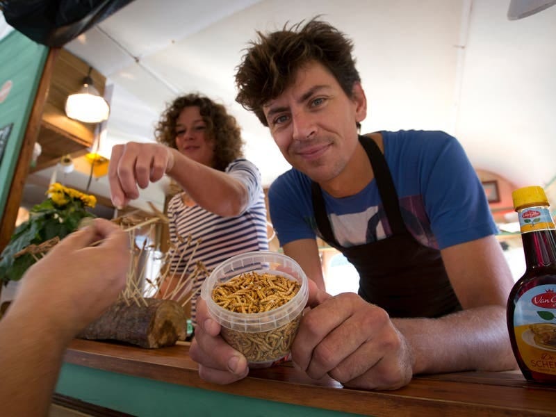 Food of the future? EU nations put mealworms on the menu - Jersey Evening  Post