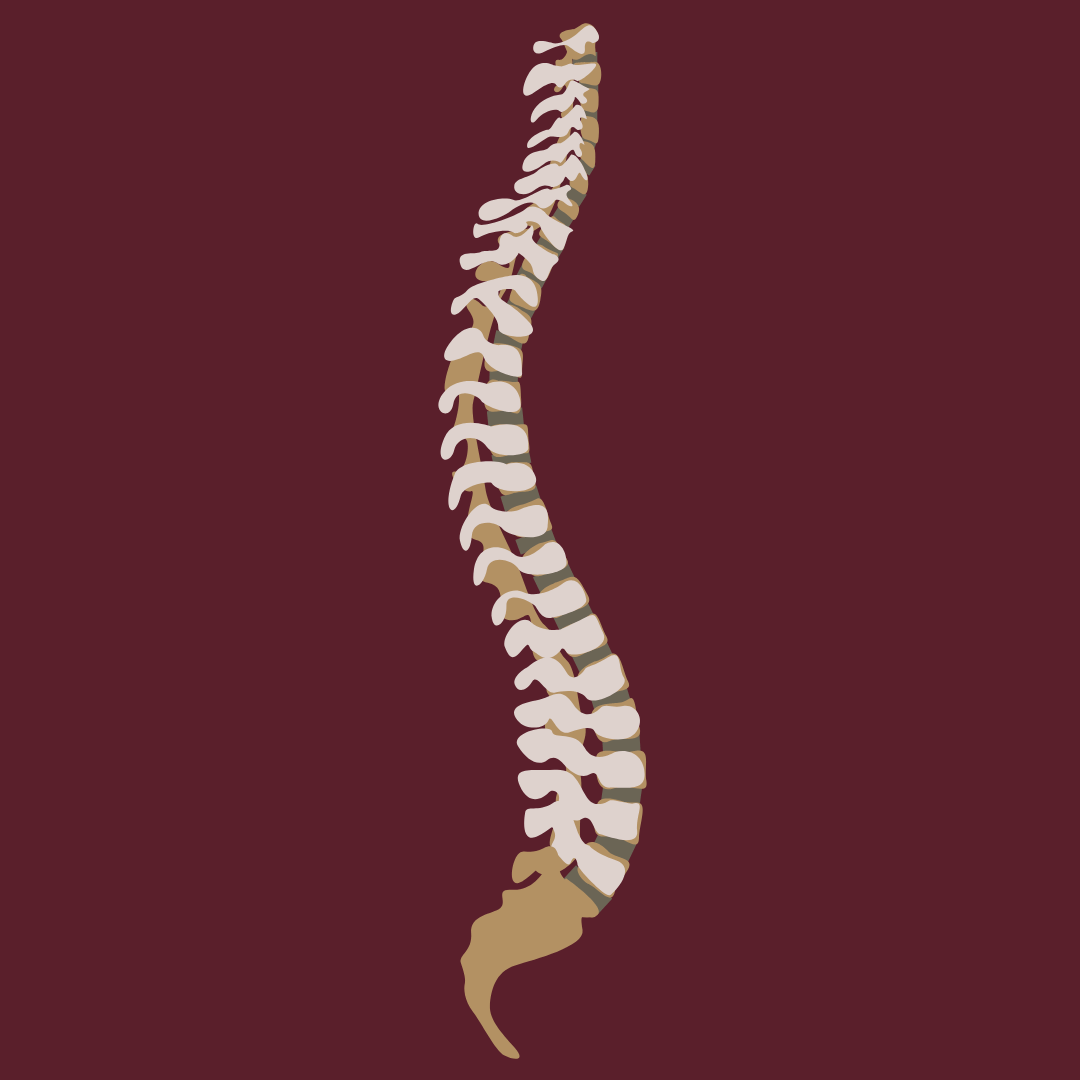 Splitting Spines