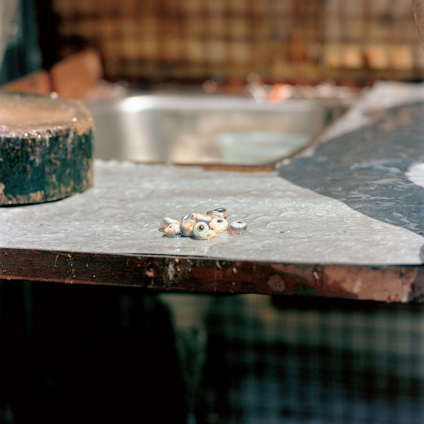 Sheep eyeballs on a countertop.