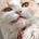 Razberry's avatar