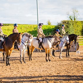 Fabulous Working Hunter Pony line up at Hagans Croft