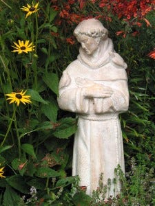 Saint_Francis_statue_in_garden