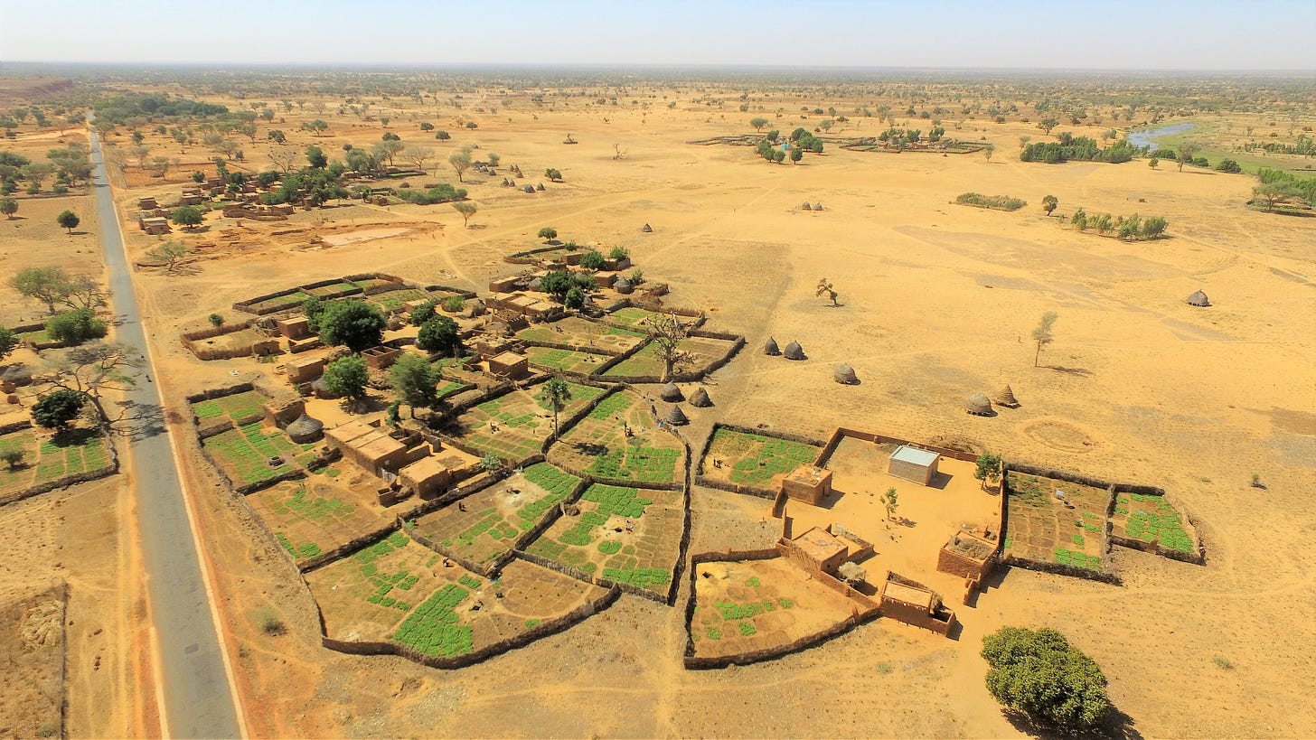 a farmstead in southern niger a farmstead in southern niger