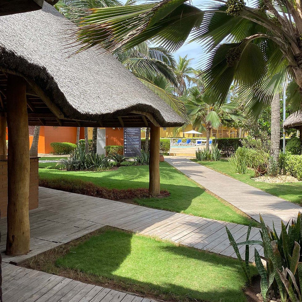 Landscape Designer in Dakar - SENEGAL