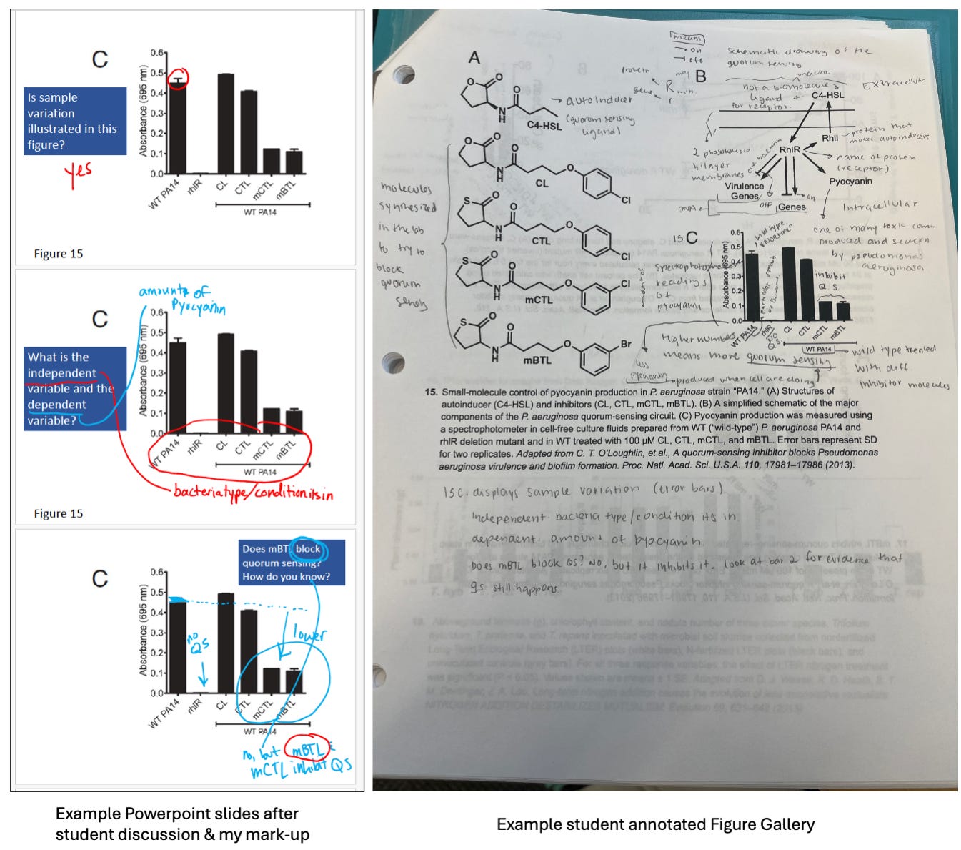On the left side, three powerpoint slides with graphs on them, with annotations of the graphs. On the right side, a photograph of a student's paper Figure Gallery showing their handwritten annotations