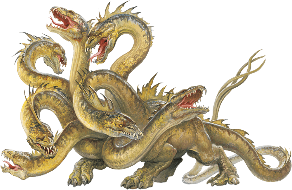 Hydra
