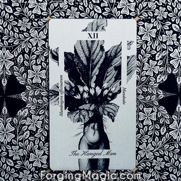 La Flora Tarot Hanged Man Card