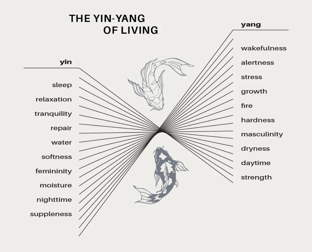 The Body in Balance #2: The Yin-Yang of Growth and Repair