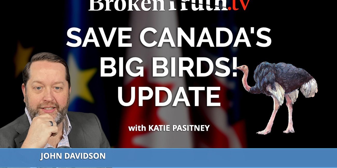 Canadian Big Birds Under Attack...STILL!