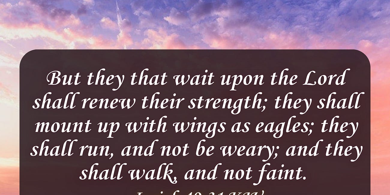 Field of Flowers • Daily Devo #571