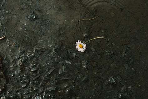 Ireland in Fuji photographs by Tyler Knott Gregson