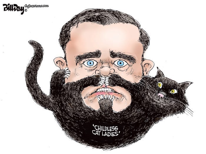 Shillbilly elegy': JD Vance awakened rage of childless cat ladies