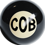 COBWEB's avatar