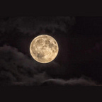 Kateřina Love - Zlatá Transformace