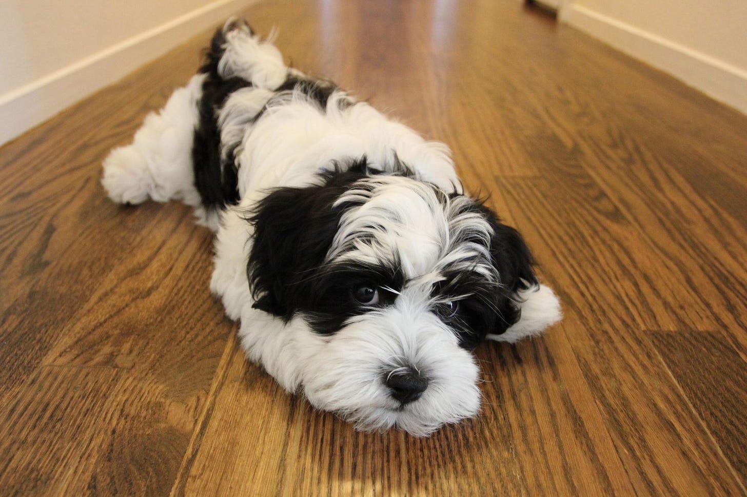 What really matters in life