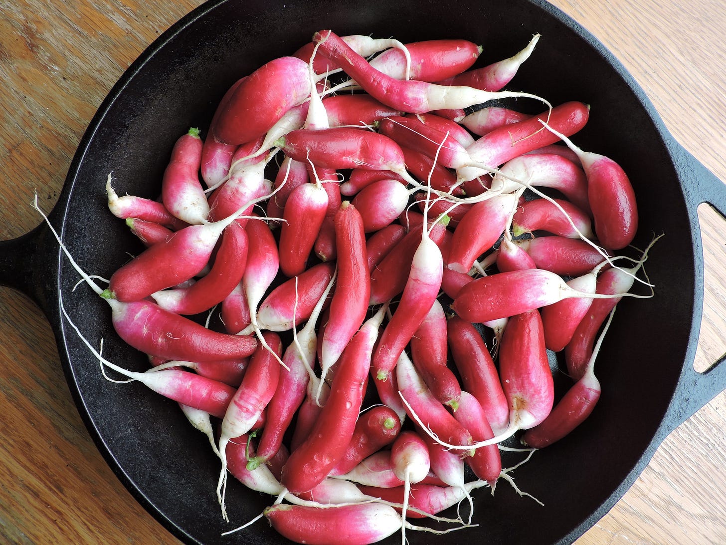  A skillet full of French radishes, the spiciest variety. 