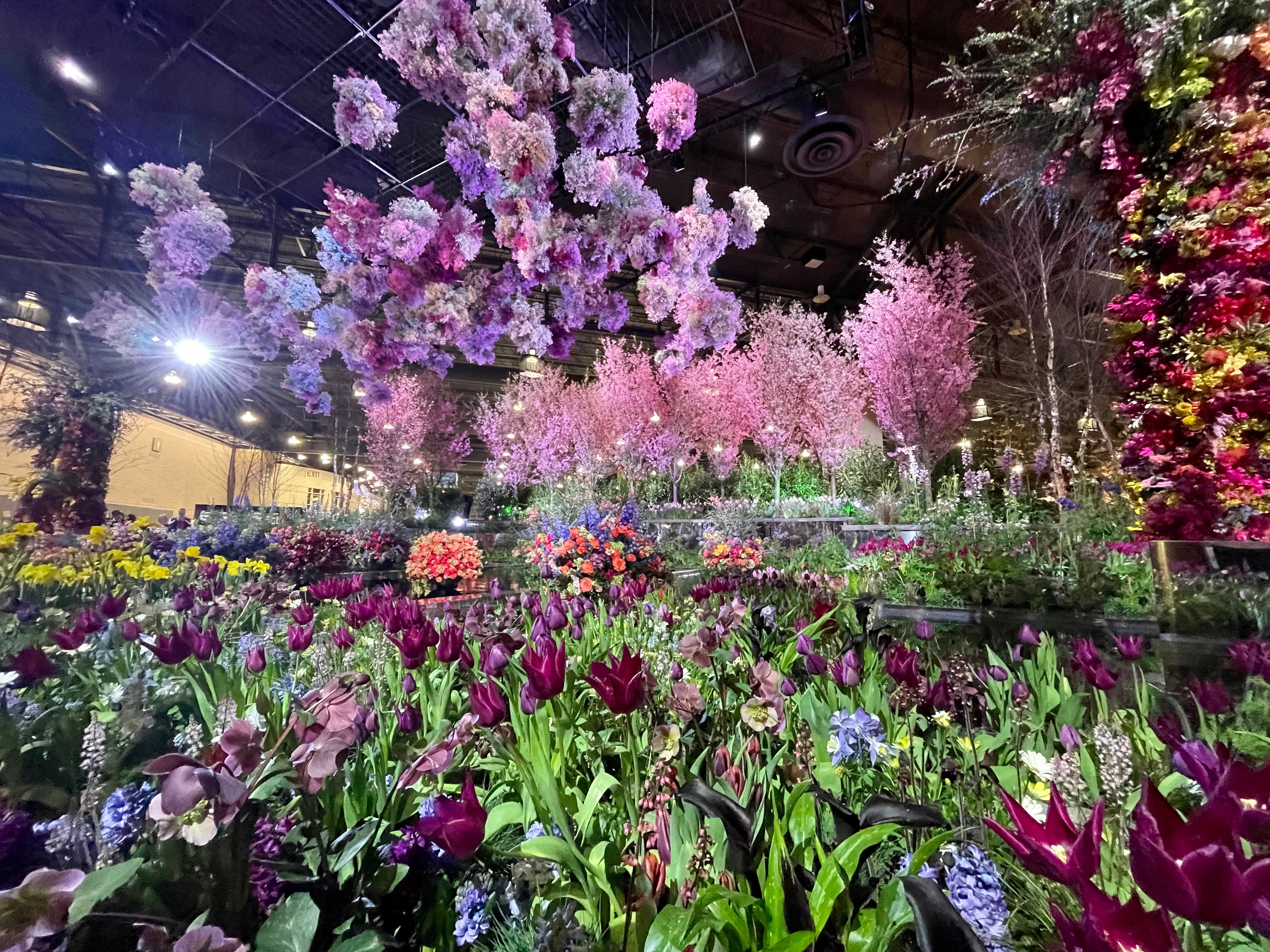 75,000 Cut Flowers Exploding Overhead - by Boaz Frankel