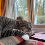 Olynpuss's avatar