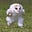 Matthew's avatar